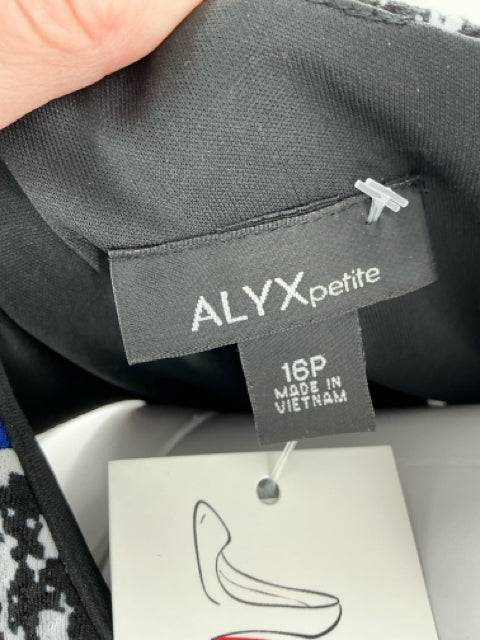 Close-up of Alyx petite label showing dress size 16P, confirming authenticity and sizing for consignment shoppers.